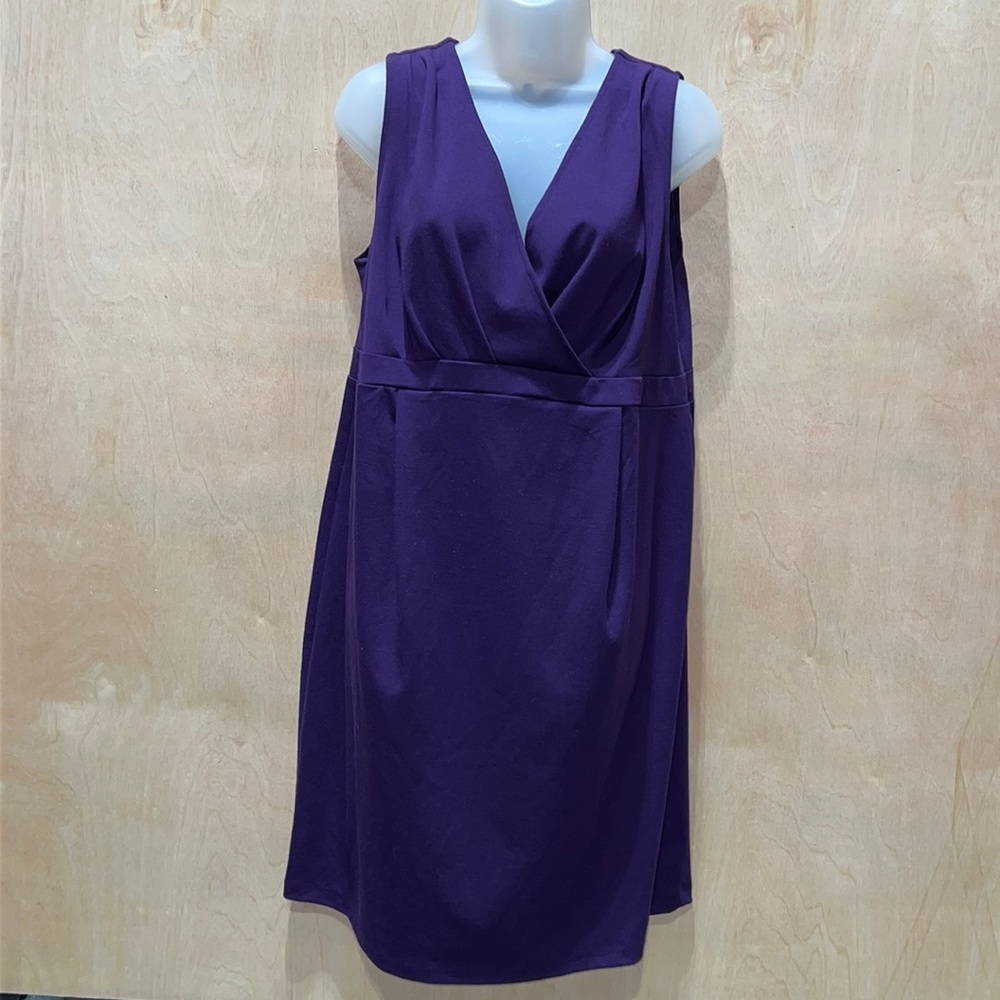 Woman’s Liz Lange Maternity Dress